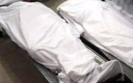 रायगढ़ के डैम में मिली दो बहनों की लाश: पारिवारिक विवाद के बाद घर छोड़ा, अगले दिन पानी में मिले शव
