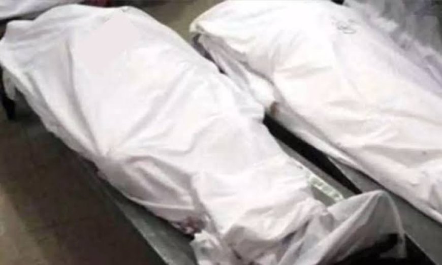 रायगढ़ के डैम में मिली दो बहनों की लाश: पारिवारिक विवाद के बाद घर छोड़ा, अगले दिन पानी में मिले शव