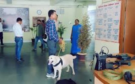 कवर्धा कलेक्ट्रेट को उड़ाने की धमकी, खाली कराया गया परिसर, बम की तलाश में जुटी रही पुलिस"