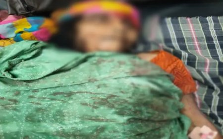 "कुत्ते के लिए मां की जान ले ली: बेटे ने मां का सिर हथौड़ी से कुचला, पत्नी को भी बनाया निशाना"
