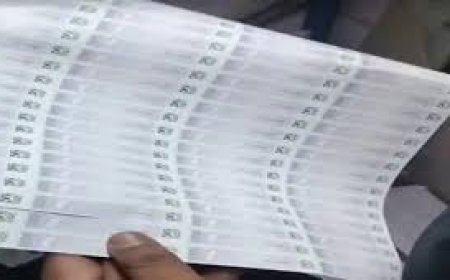 "नकली शराब का खेल: ढाबे से होलोग्राम, प्रिंटिंग शॉप से ढक्कन! रायपुर में 40 हजार नकली स्टिकर जब्त"