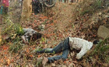 रायगढ़ में दर्दनाक सड़क हादसा: बाइक पेड़ से टकराई, तीन युवकों की जान गई