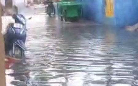 छत्तीसगढ़ में यलो अलर्ट: आंधी-बारिश के साथ ओले गिरने की आशंका, कोरबा में बारिश से सड़कें जलमग्न