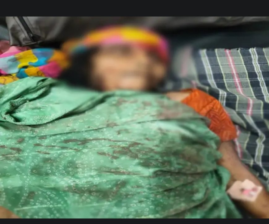 "कुत्ते के लिए मां की जान ले ली: बेटे ने मां का सिर हथौड़ी से कुचला, पत्नी को भी बनाया निशाना"
