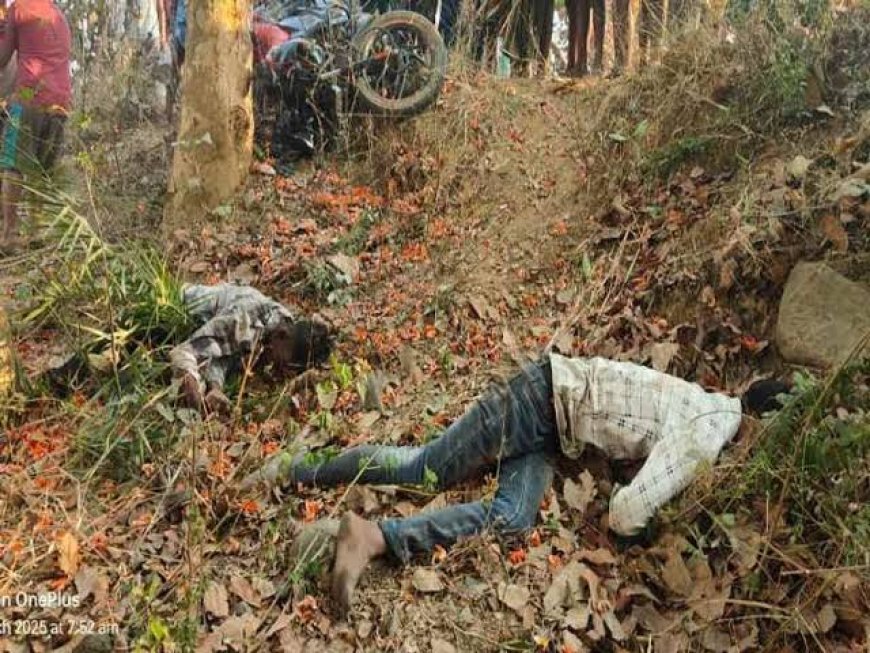 रायगढ़ में दर्दनाक सड़क हादसा: बाइक पेड़ से टकराई, तीन युवकों की जान गई
