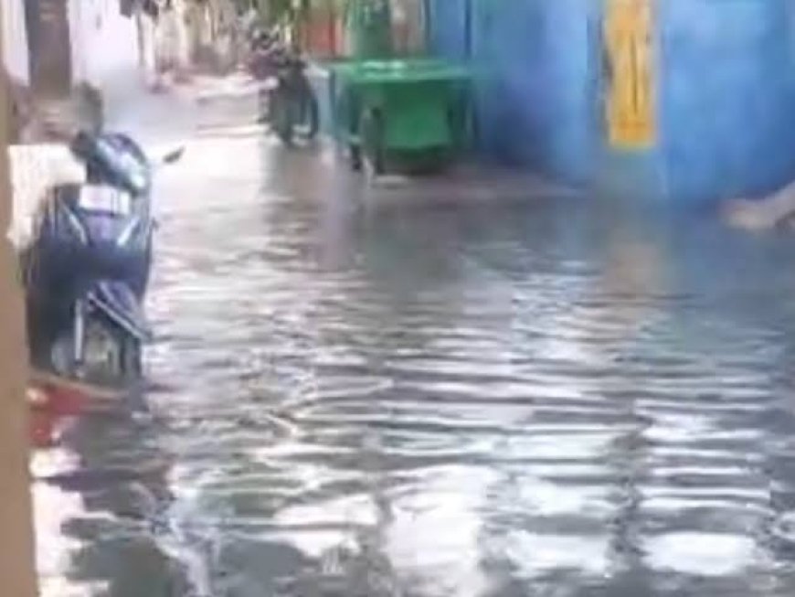 छत्तीसगढ़ में यलो अलर्ट: आंधी-बारिश के साथ ओले गिरने की आशंका, कोरबा में बारिश से सड़कें जलमग्न