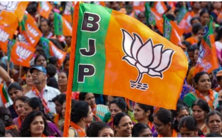वक्फ संशोधन कानून पर जनजागरण अभियान पर भाजपा बनाएगी  रणनीति..