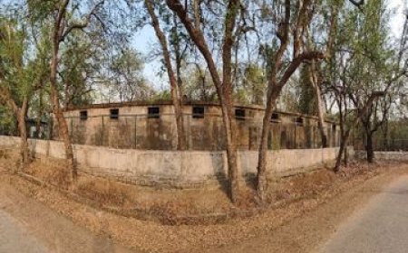 8 साल से नंदनवन में कैद हैं जंगल के राजा: तेंदुआ-लकड़बग्घा की ज़िंदगी बनी लोहे का पिंजरा, ना धूप ना बारिश