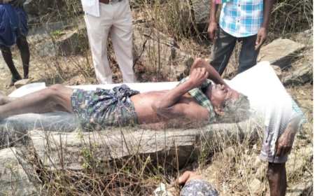 मानव हाथी द्वंद  हमले से बुजुर्ग की मौत, इलाके में दहशत महौल..