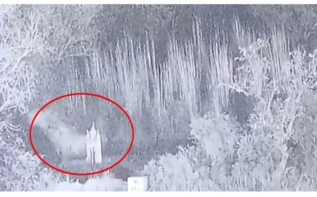 भारतीय सेना (BSF)ने 7 आतंकियों को किया ढेर..