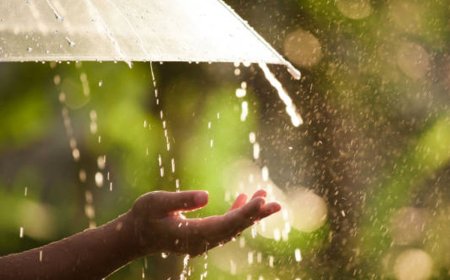 छत्तीसगढ़ में आने वाले 2 दिनों तक आंधी-तूफान के साथ होगी वर्षा..