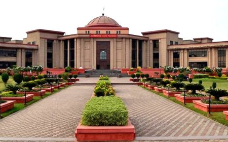 तलाक के बाद एक ही घर में रहेंगे पति-पत्नी, लेकिन अलग मंजिलों पर!