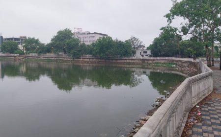 तालाब बचाने उठी आवाज: 'समिति निष्क्रिय, नई उच्च स्तरीय टीम बने'