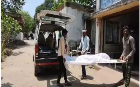 कोरबा: चोरी के प्रयास में पावर प्लांट की दीवार से कूदने पर नाबालिग की मौत