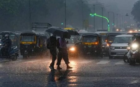 20 जिलों में मौसम का येलो अलर्ट: रायपुर-दुर्ग में अंधड़ और बारिश की संभावना, 4 दिन तक बदला रहेगा मौसम का मिजाज