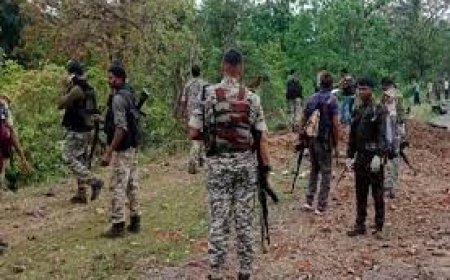 अबूझमाड़ की पहाड़ियों में नक्सली मोर्चा ध्वस्त: 20 नक्सली ढेर, कई टॉप लीडर शामिल; जंगल में भारी हथियार बरामद
