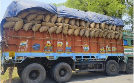 कोंडागांव में अवैध धान परिवहन पर बड़ी कार्रवाई, 700 बोरी धान जब्त – खाद्य विभाग ने पकड़ा ट्रक, वैध दस्तावेज नहीं मिले