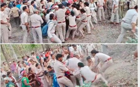 महासमुंद जिले में वन विभाग की बड़ी कार्रवाई: गांधी ग्राम तमोरा में 100 हेक्टेयर वन भूमि से अतिक्रमण हटाया गया, ग्रामीणों और वन अमले में हुई झड़प