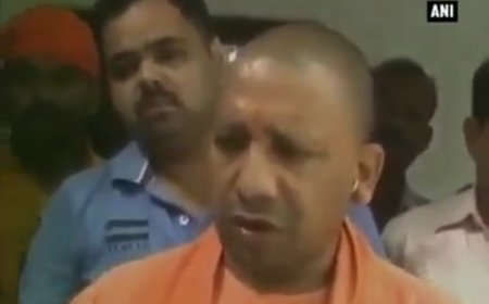 शाहरुख खान की फिल्में ना देखें मुख्यमंत्री योगों आदित्य नाथ ने कहा आतंकियों की भाषा बोल रहे हैं शाहरुख खान