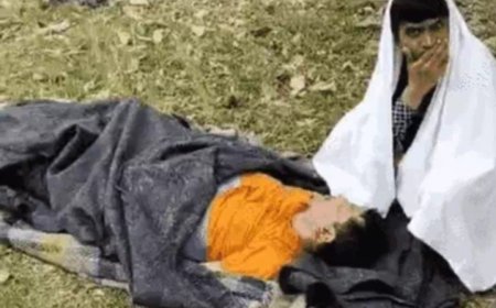 IAS अफसर पर मधुमक्खियों का हमला: जंगल में मची अफरा-तफरी, चारपाई पर लादकर निकाला गया,