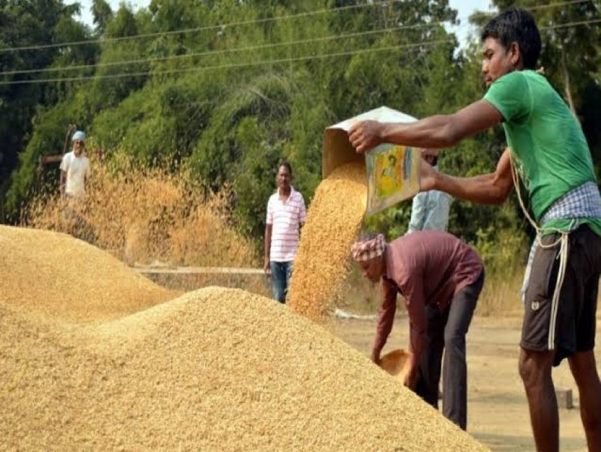 धान की लुट: 3100 में खरीदा, 2000 में बेचने की नौबत! भूपेश बघेल का तीखा हमला- ट्रिपल इंजन सरकार सिर्फ दिखावा