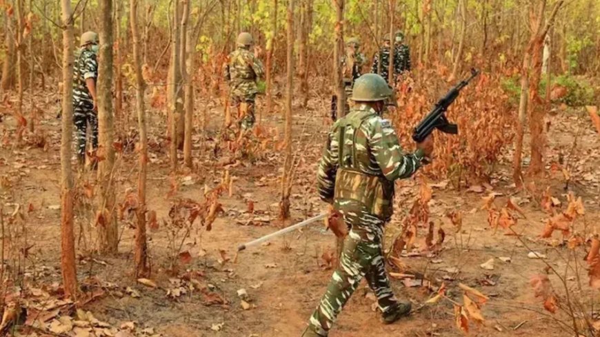 तेलंगाना के जंगलों में सुरक्षाबलों की बड़ी कार्रवाई: कर्रेगुट्टा पहाड़ पर महिला नक्सली ढेर, अब तक 4 की मौत; IED ब्लास्ट में कमांडेंट घायल