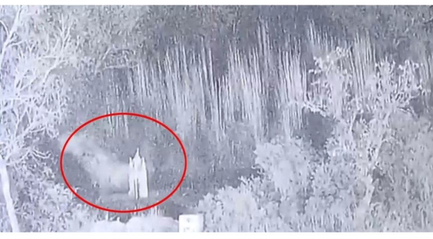 भारतीय सेना (BSF)ने 7 आतंकियों को किया ढेर..