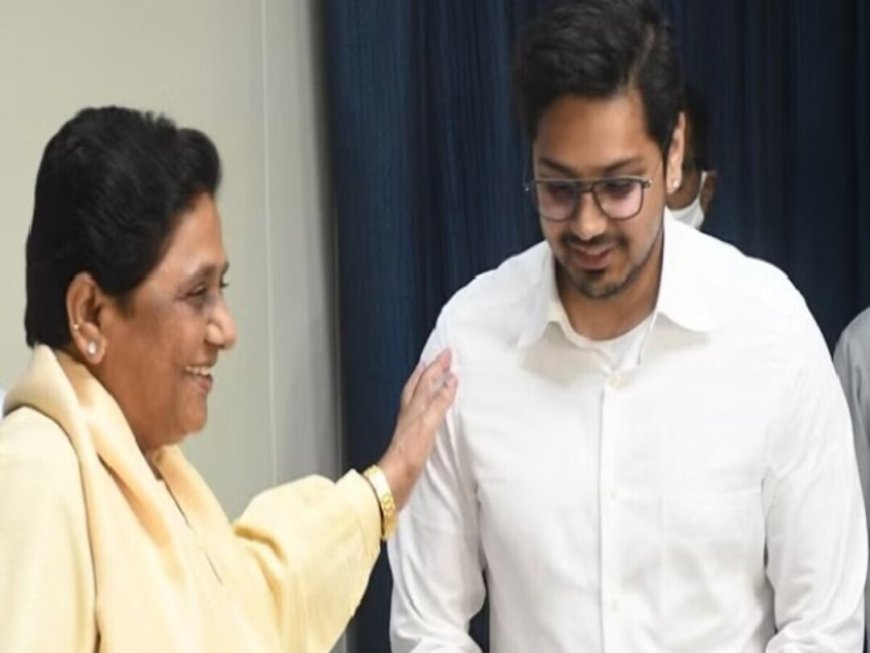 17 माह में तीसरी बार मायावती ने आकाश आनंद को बनाया BSP का राष्ट्रीय संयोजक बहुजन समाज पार्टी में फिर से परिवार को दी अहम जिम्मेदारी