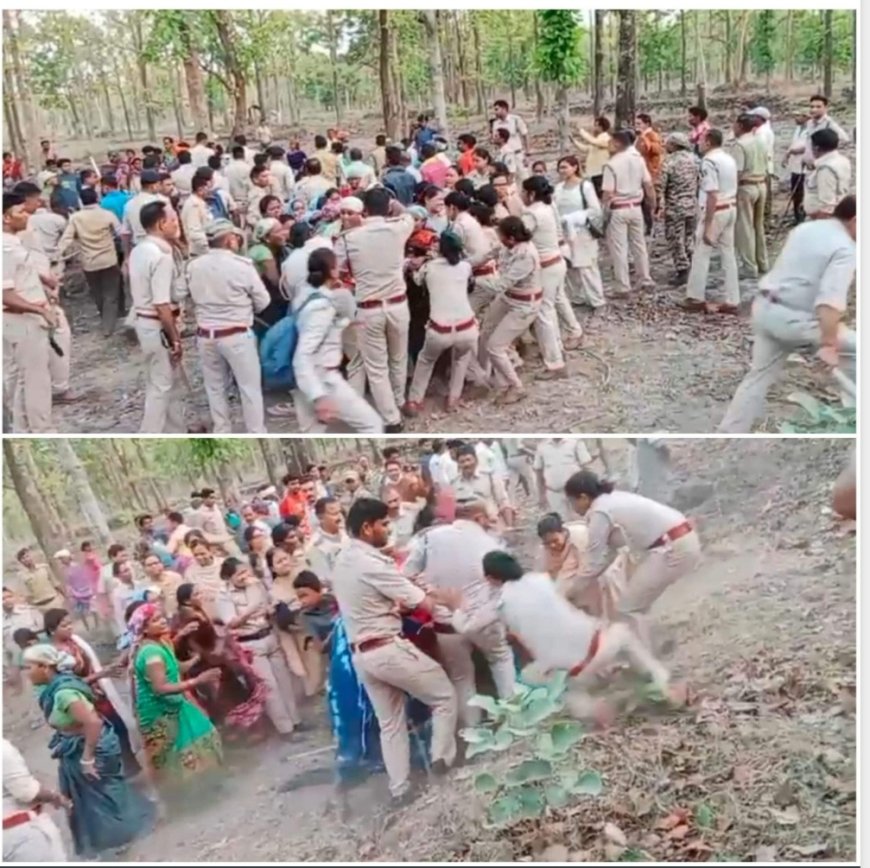 महासमुंद जिले में वन विभाग की बड़ी कार्रवाई: गांधी ग्राम तमोरा में 100 हेक्टेयर वन भूमि से अतिक्रमण हटाया गया, ग्रामीणों और वन अमले में हुई झड़प