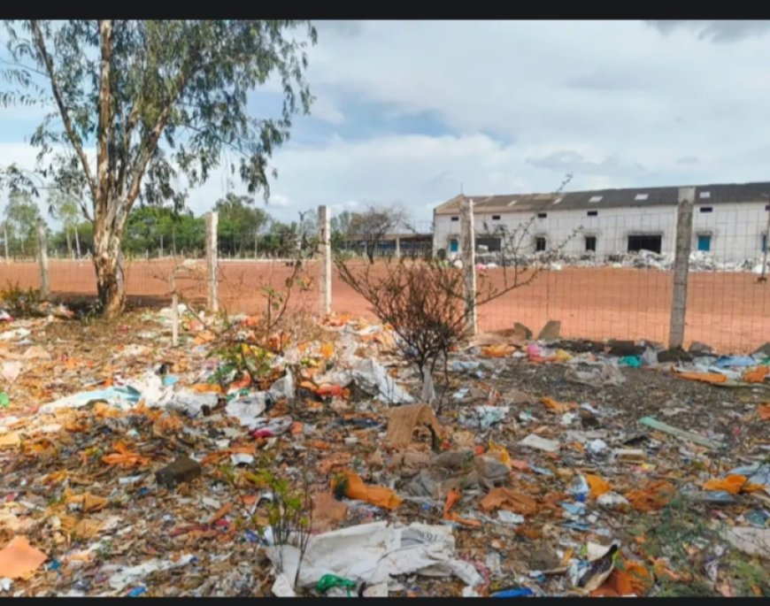 मुसीबत बना पोल्ट्री फार्म: तिल्दा-नेवरा में बदबू और मक्खियों से लोग त्रस्त, खाने में भी मन नहीं लगता