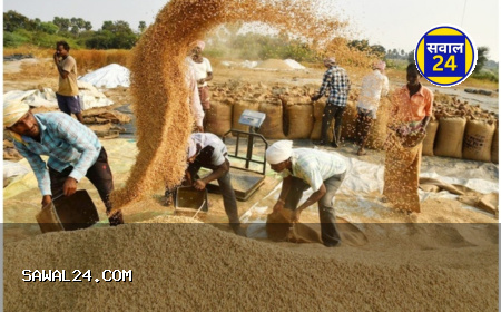 वर्ष 2024-25 में 9 हजार करोड़ रुपये मूल्य के धान की नीलामी ठप, खरीदारों की कमी से शासन चिंतित