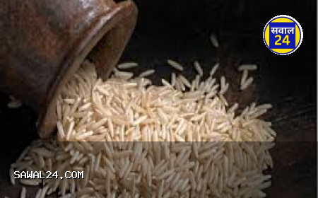 छत्तीसगढ़ के चावल में छुपा सेहत का फार्मूला: कैंसर-डायबिटीज से लड़ने में कारगर, विदेशों में भी बढ़ी डिमांड