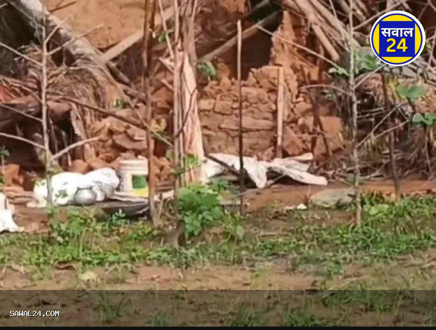 छत्तीसगढ़ में हाथियों का कहर: 3 लोगों की दर्दनाक मौत से गांव में दहशत