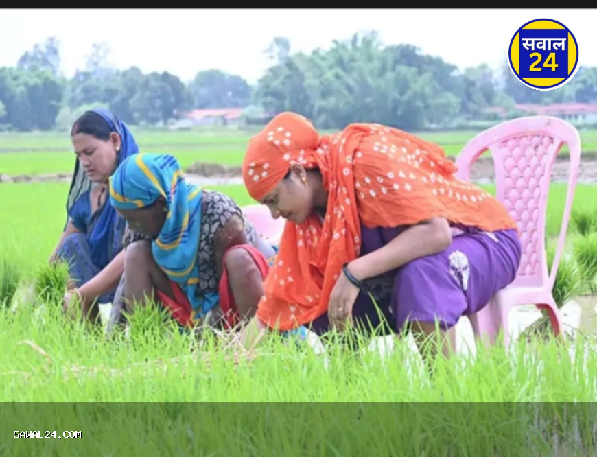 "कुर्सी पर बैठकर धान रोपती दिखीं मंत्री लक्ष्मी राजवाड़े, कांग्रेस ने उठाए सवाल"