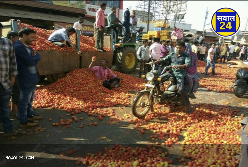 Tomatoes are expensive in Chhattisgarh:  छत्तीसगढ़ में टमाटर महंगा: बारिश की मार से घटा उत्पादन, 60 रुपये किलो तक पहुंचे दाम