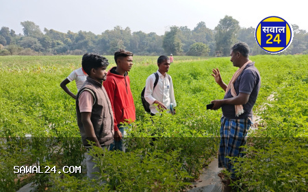 नक्सल प्रभावित इलाके से निकली समृद्धि की मिसाल: आधुनिक खेती से किसान गोपाल ने बदली अपनी तकदीर